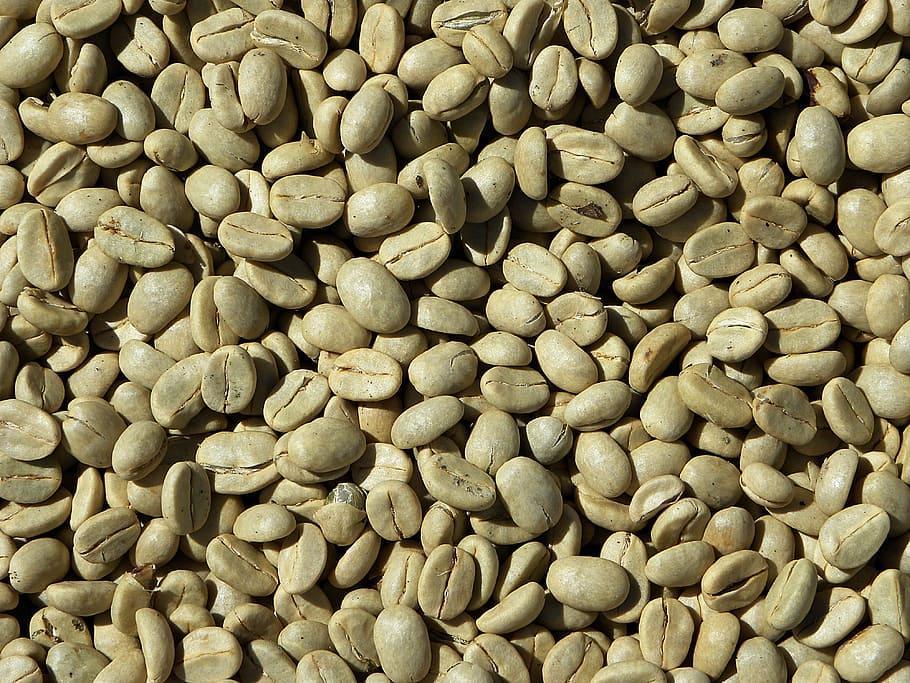 On the Processing of Coffee